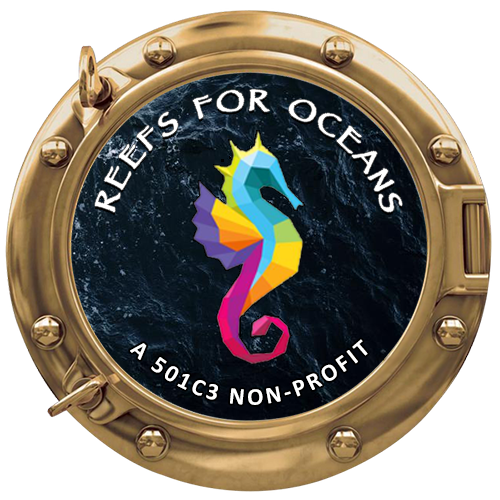 Reefs-For-Oceans-Porthole-Latest
