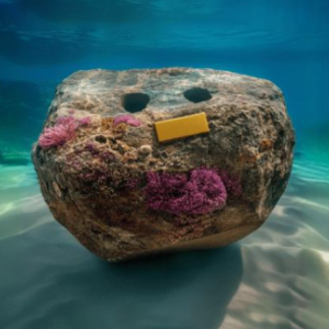 Boulders